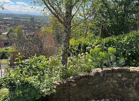 Theraphi on Tor, Glastonbury