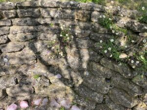 Theraphi on Tor, Glastonbury 4