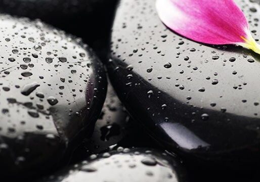 header28-980x360